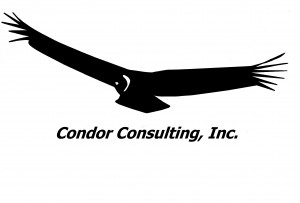 Condor Consulting, Inc. Logo