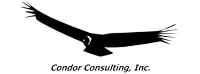 Condor Consulting, Inc. logo