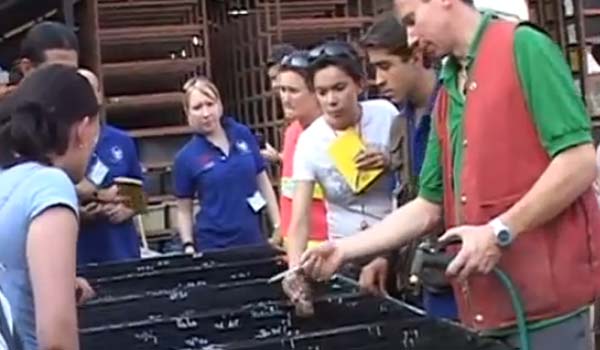 Several students examining samples