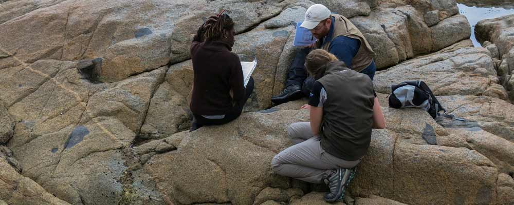 Students mapping at Freycient in Tasmania